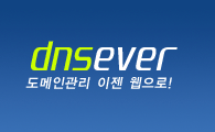 DNSEver